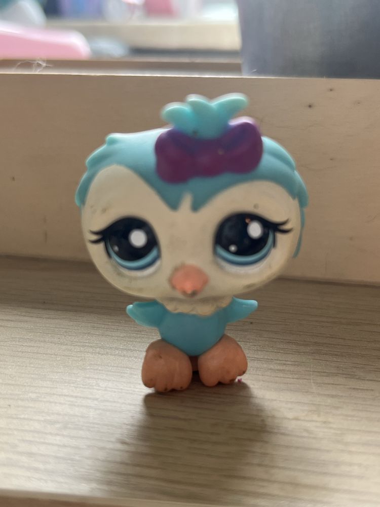 LPS papuga petshop