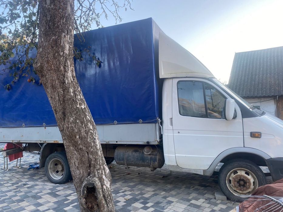 Газель газ вписаний