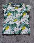 Koszulka t-shirt dla chłopca rozmiar 74 Zeeman