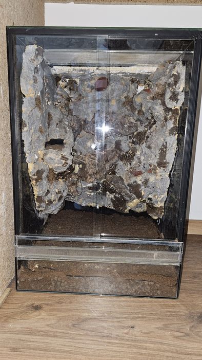 Terrarium szklane pionowe tropikalne