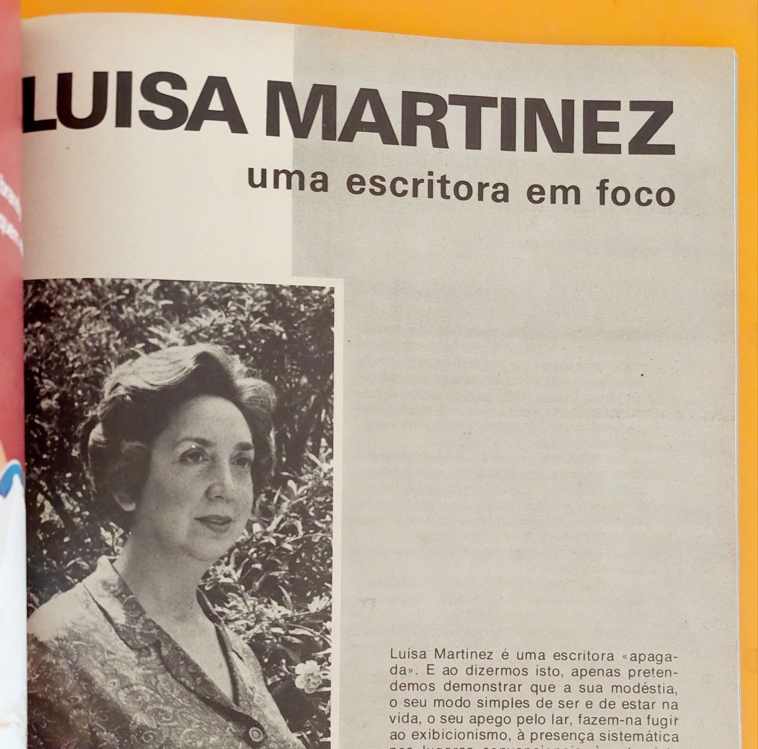 Companheiros - Luísa Martinez