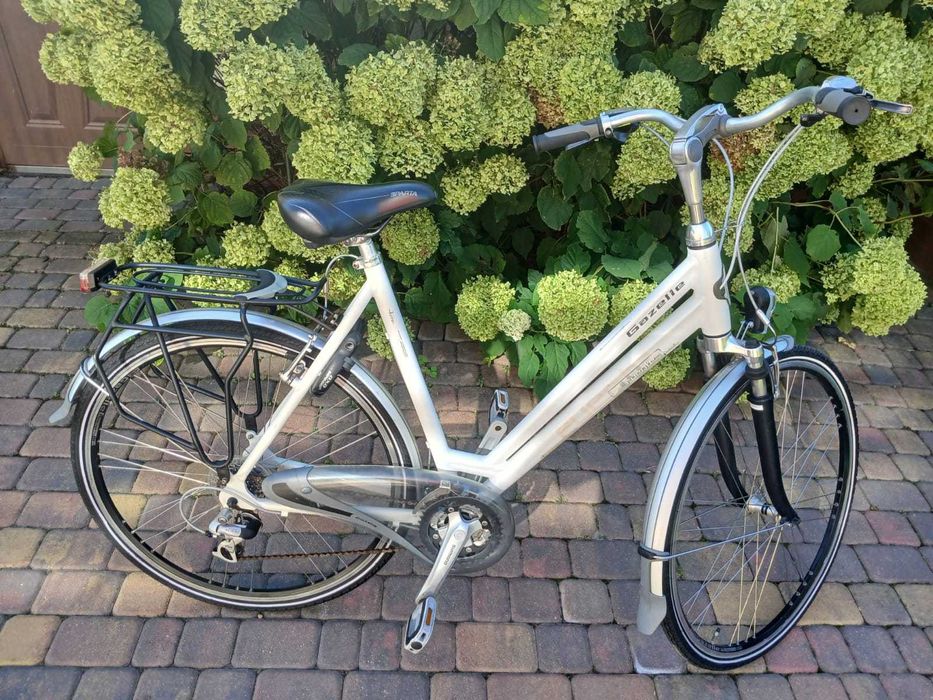 Gazelle fuente z Holandii