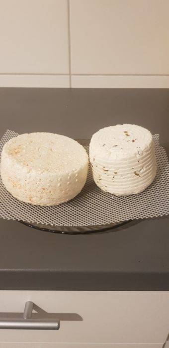 Ser podpuszczkowy, wędzony, mleko, jogurt