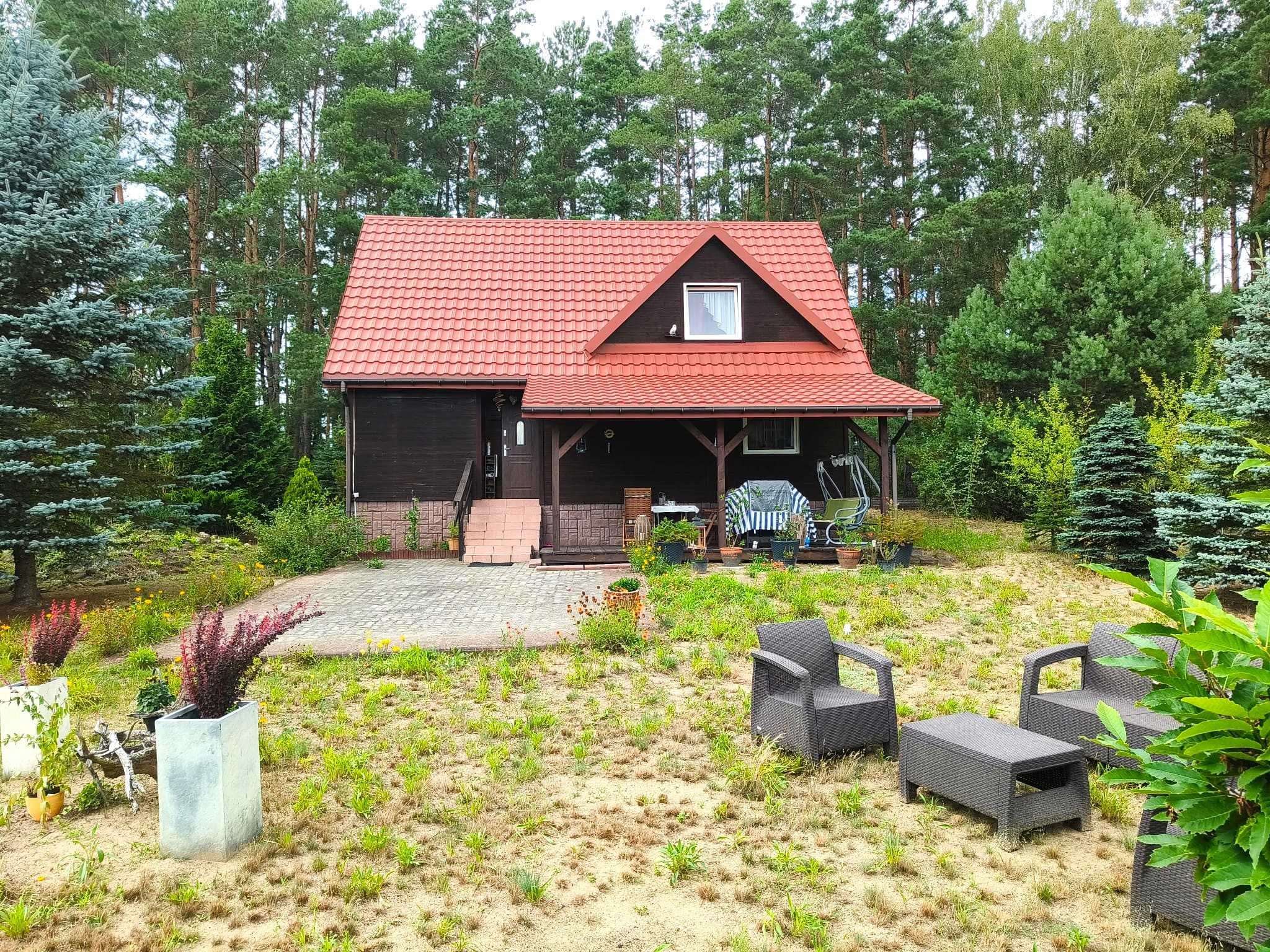 Dom 75,5 m² z własnym lasem - Modzele - Super miejsce !!