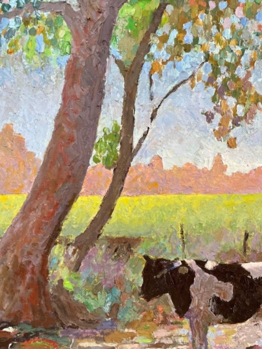 Vacas à sombra das árvores