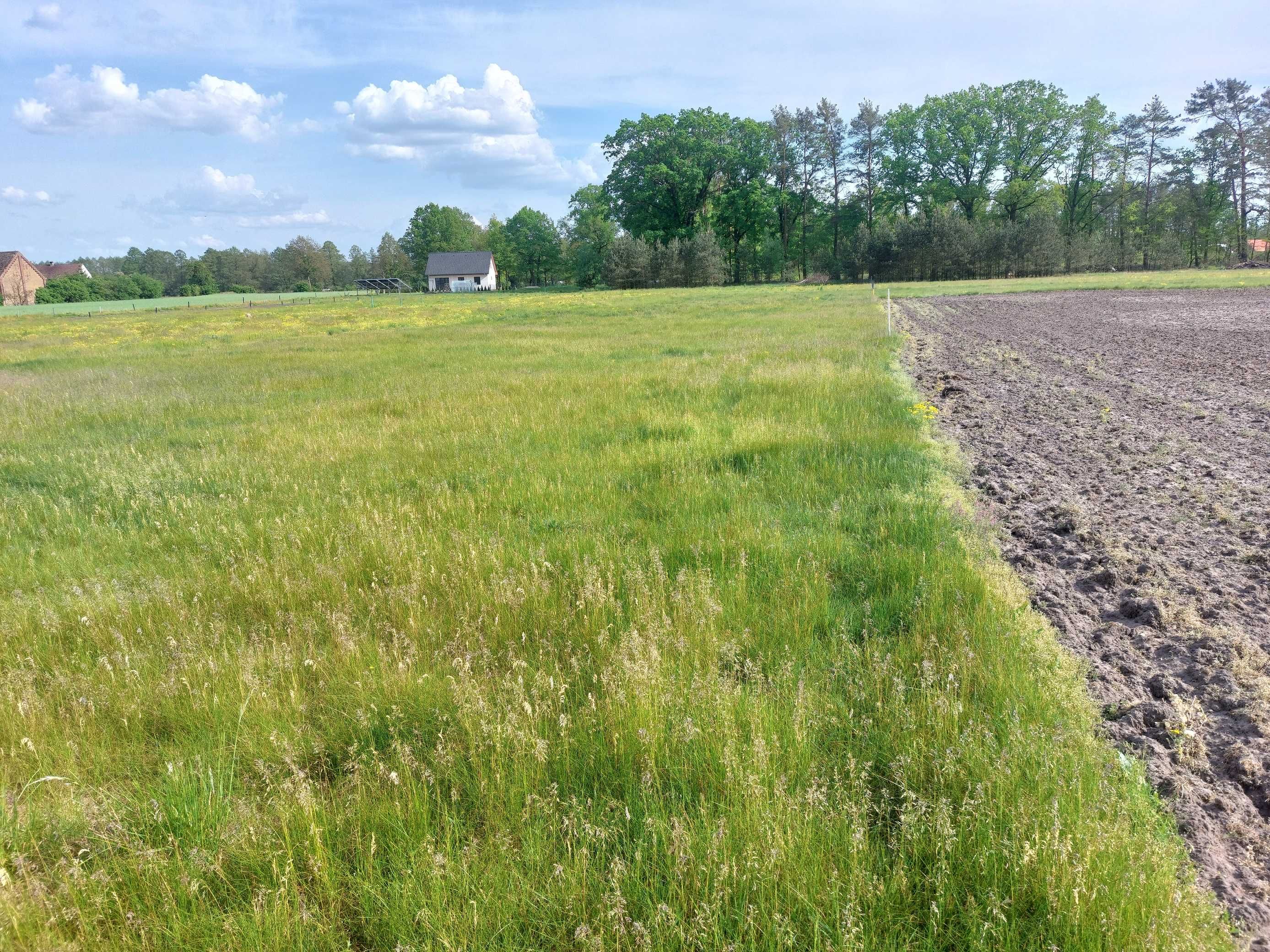 działka rolna pod budowę cisza i spokój na wsi ! 0,6547 ha.