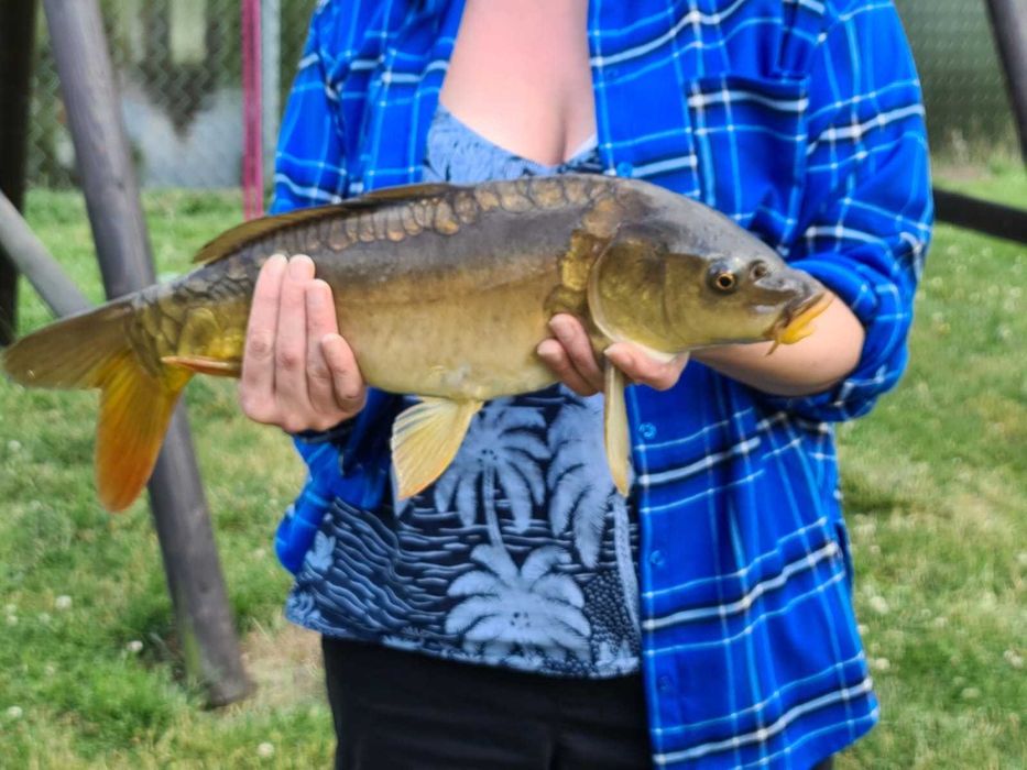 domek na Kaszubach Pan Tadeusz, łowisko, sauna