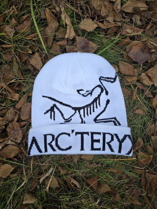 Шапка Arc’teryx Bird Word Toque