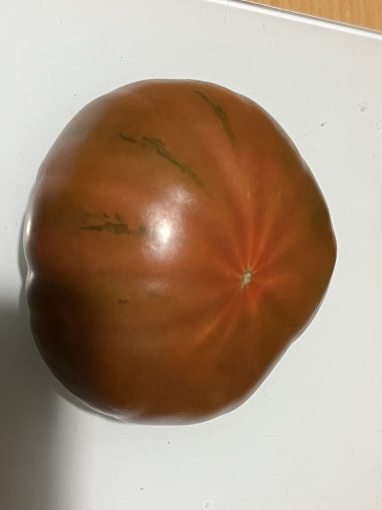 Nasiona pomidorow Marta, megagroniaste i inne