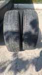 Шини 225/75 r16c