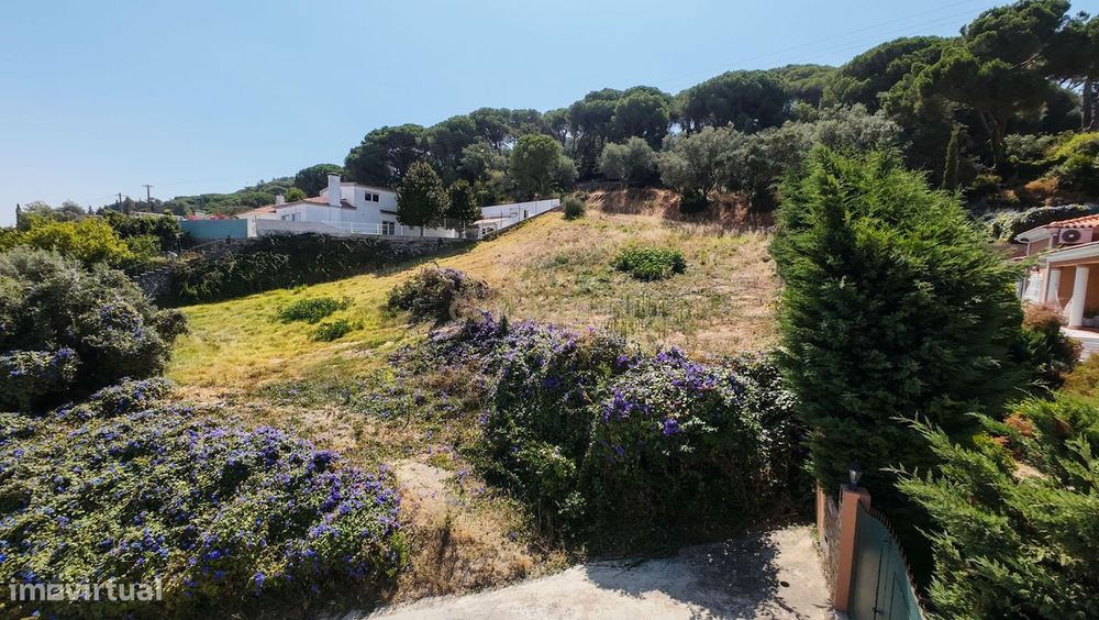 Terreno Rústico em Cabanas, Quinta do Anjo - 4446m²