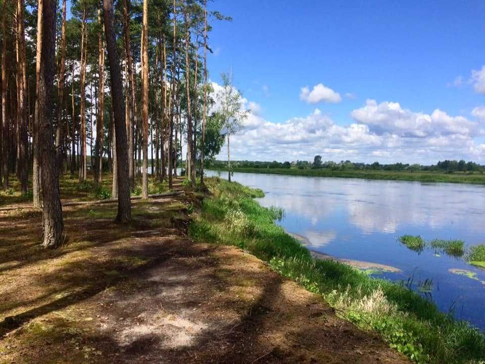 Domek  nad Bugiem 40 min od Warszawy Klimatyzowany