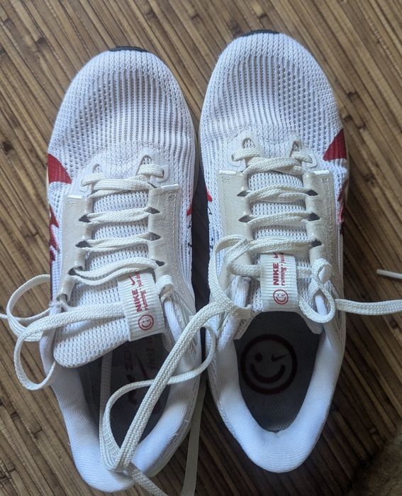 Бігові кросівки Nike Pegasus 40