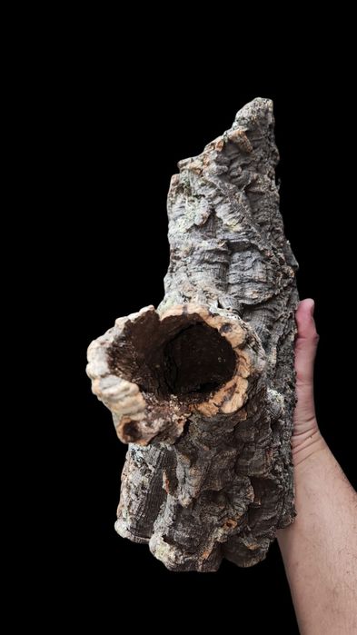 Кора пробкового дерева, декор для террариума, рептилий, птицеедов 40см