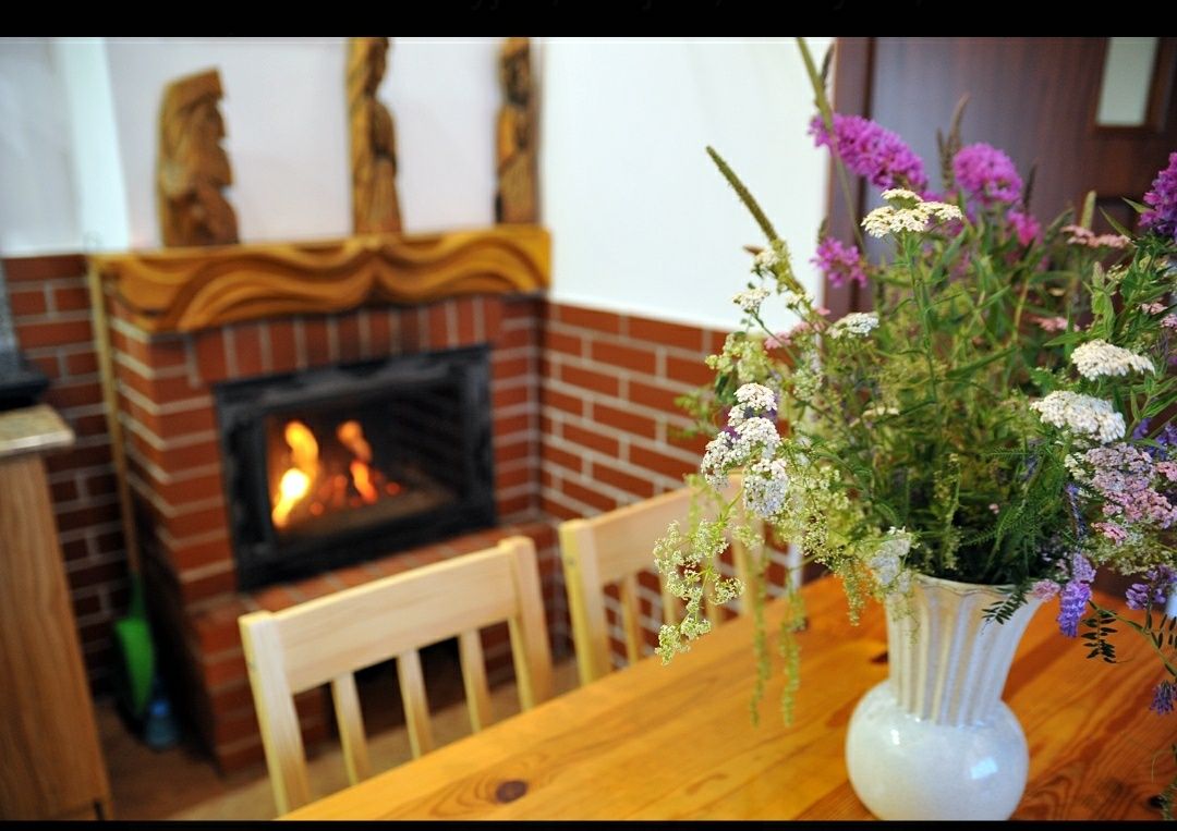 Polańczyk_ Jezioro Solińskie/pokoje, apartamenty, domk