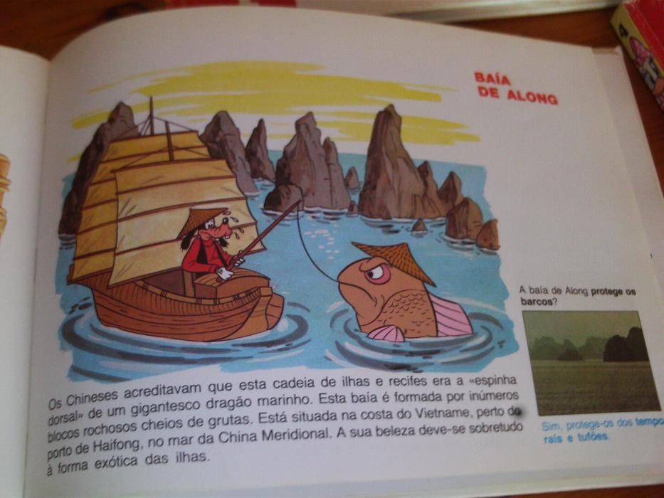15 livros Walt Disney É divertido conhecer