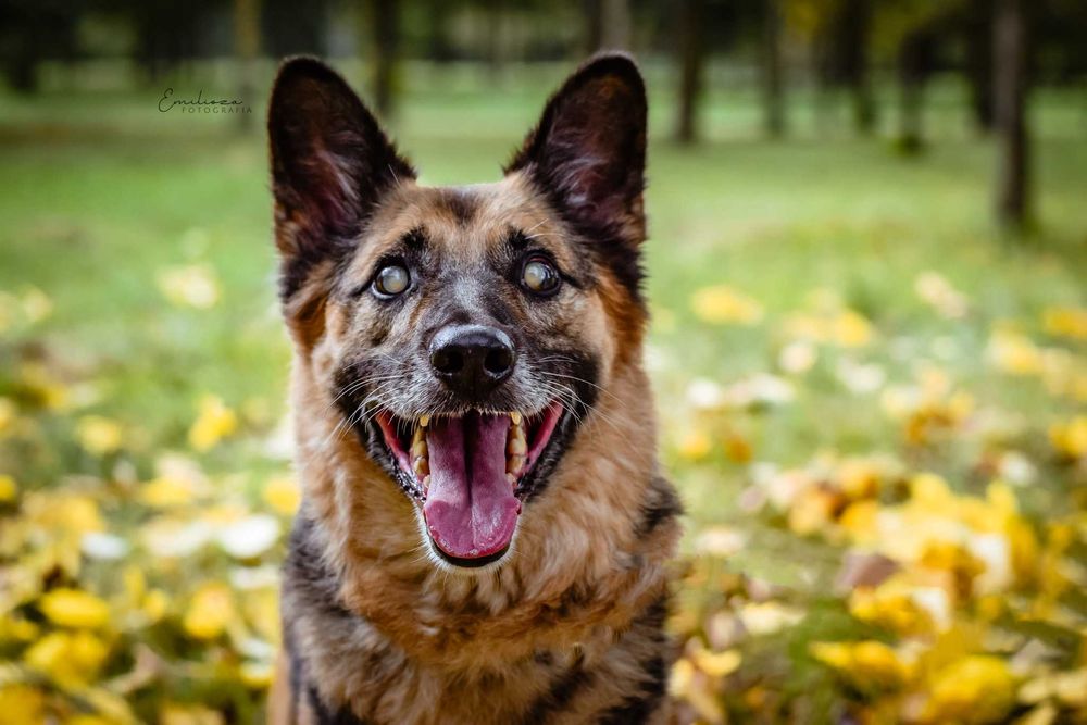 Pozytywny i kontaktowy Martyn