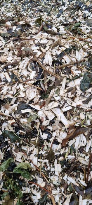 Професійна обрізка саду та подрібнення гілок!