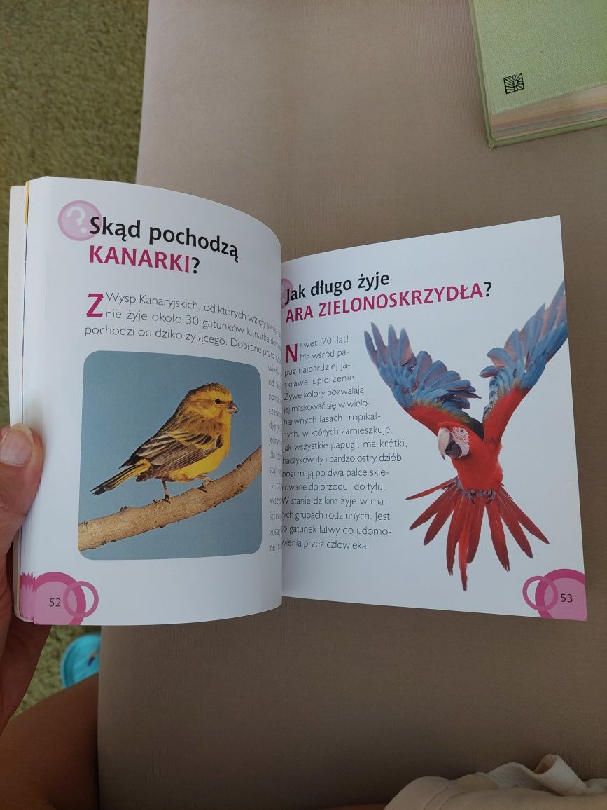 1000 pytań zwierzęta, książka