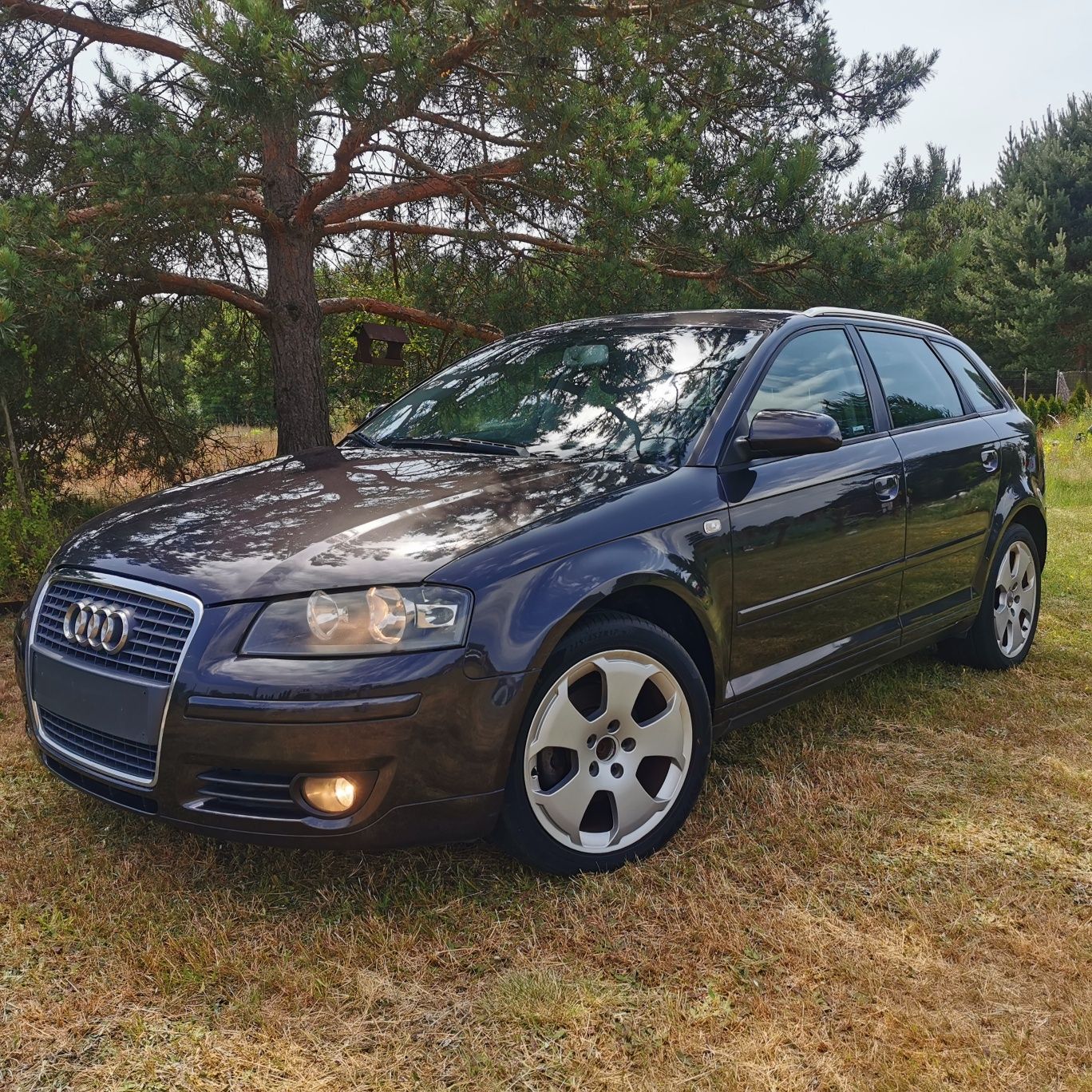 Audi A3 8P 2006r 1.9TDI 105KM  5 drzwi