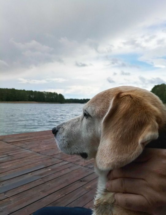 Mazury,  agroturystyka nad jeziorem