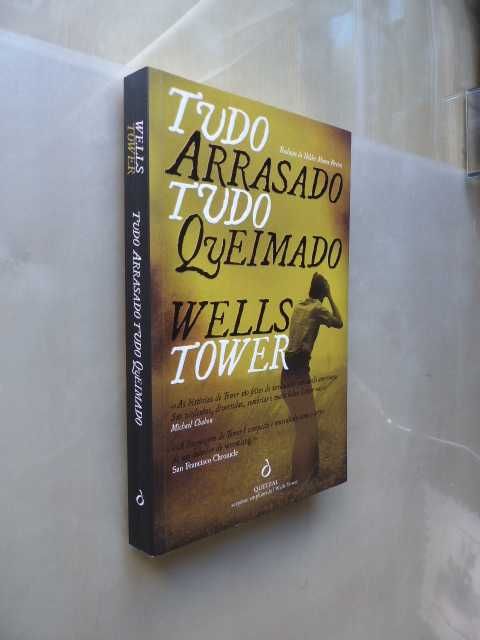 Tudo Arrasado, Tudo Queimado de Wells Tower