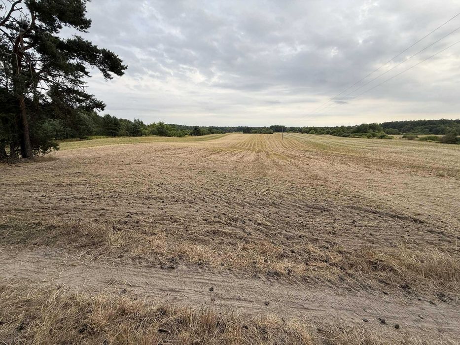 Działka rolno-budowlana 2.19ha z możliwością podziału.