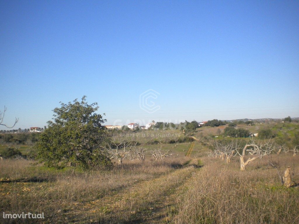 Terreno com ruína nos Álamos, Albufeira, Algarve