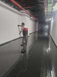 Pintor profissional