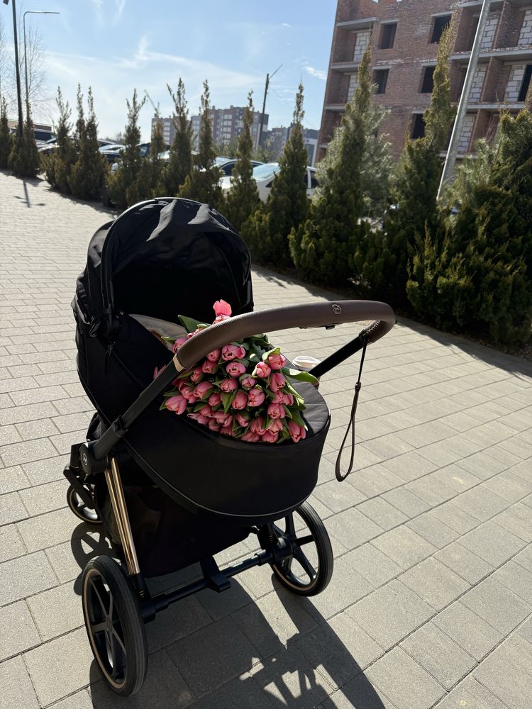 Cybex Priam Люлька та шассі rosegold
