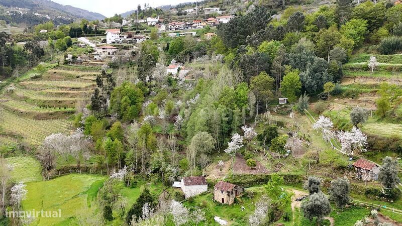 Quintinha / Cinfães, Santiago de Piães
