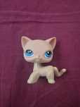 Lps pet shop shorthair