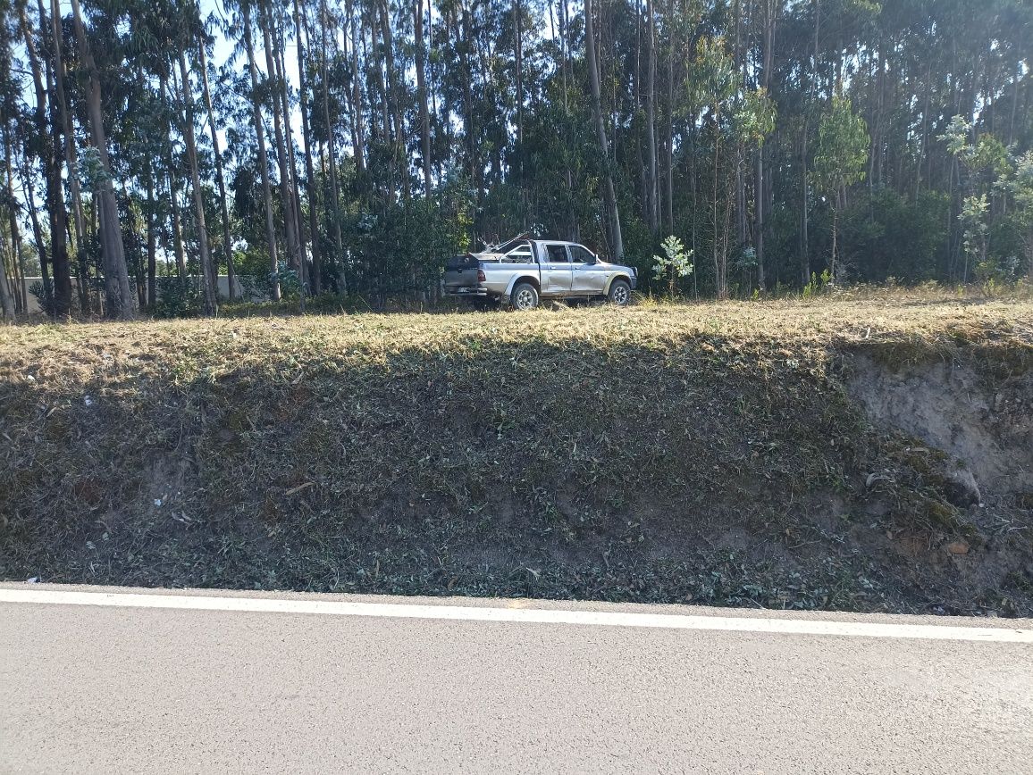 Limpeza de terrenos e abate de árvores