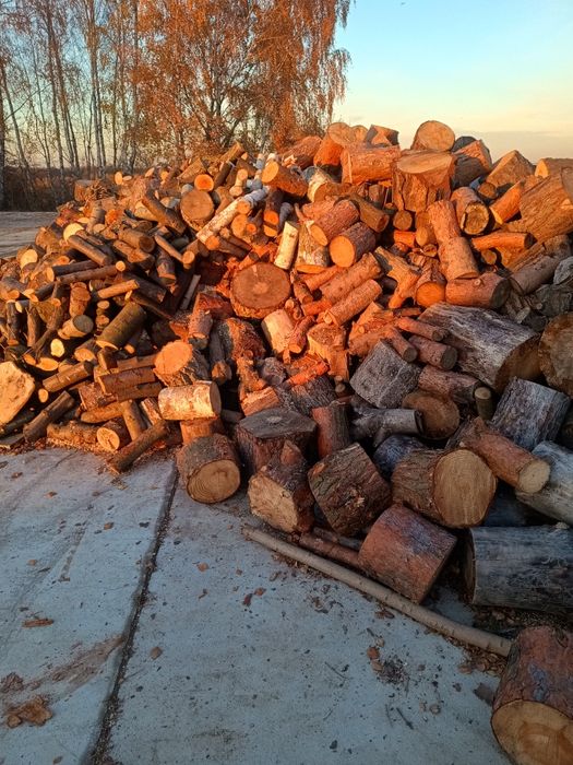 Drewno opałowe sosna modrzew akacja