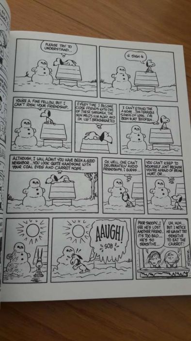 Peanuts Treasure - Formato A4 - Novo