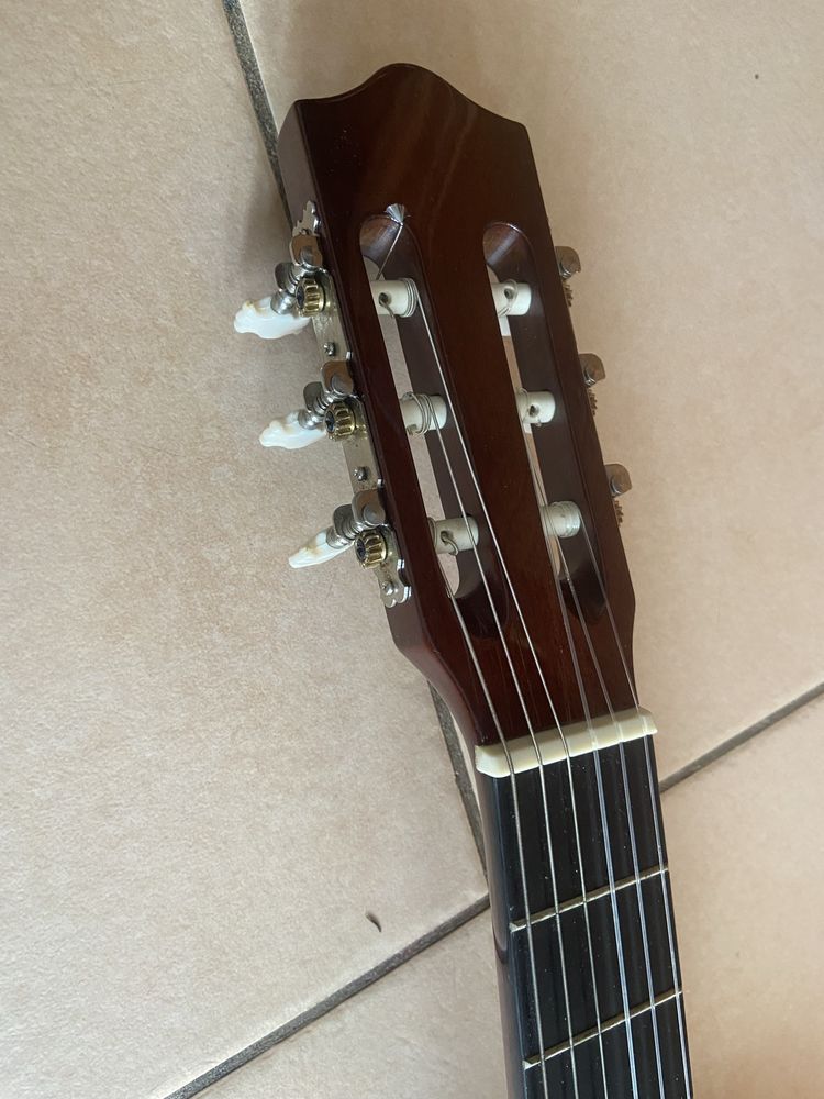 Viola clássica da Stagg