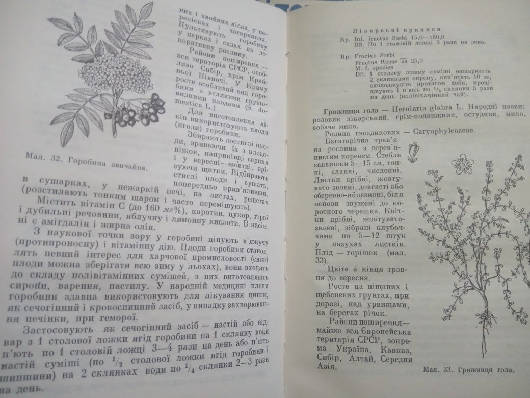 Лекарственные растения. Народная медицина