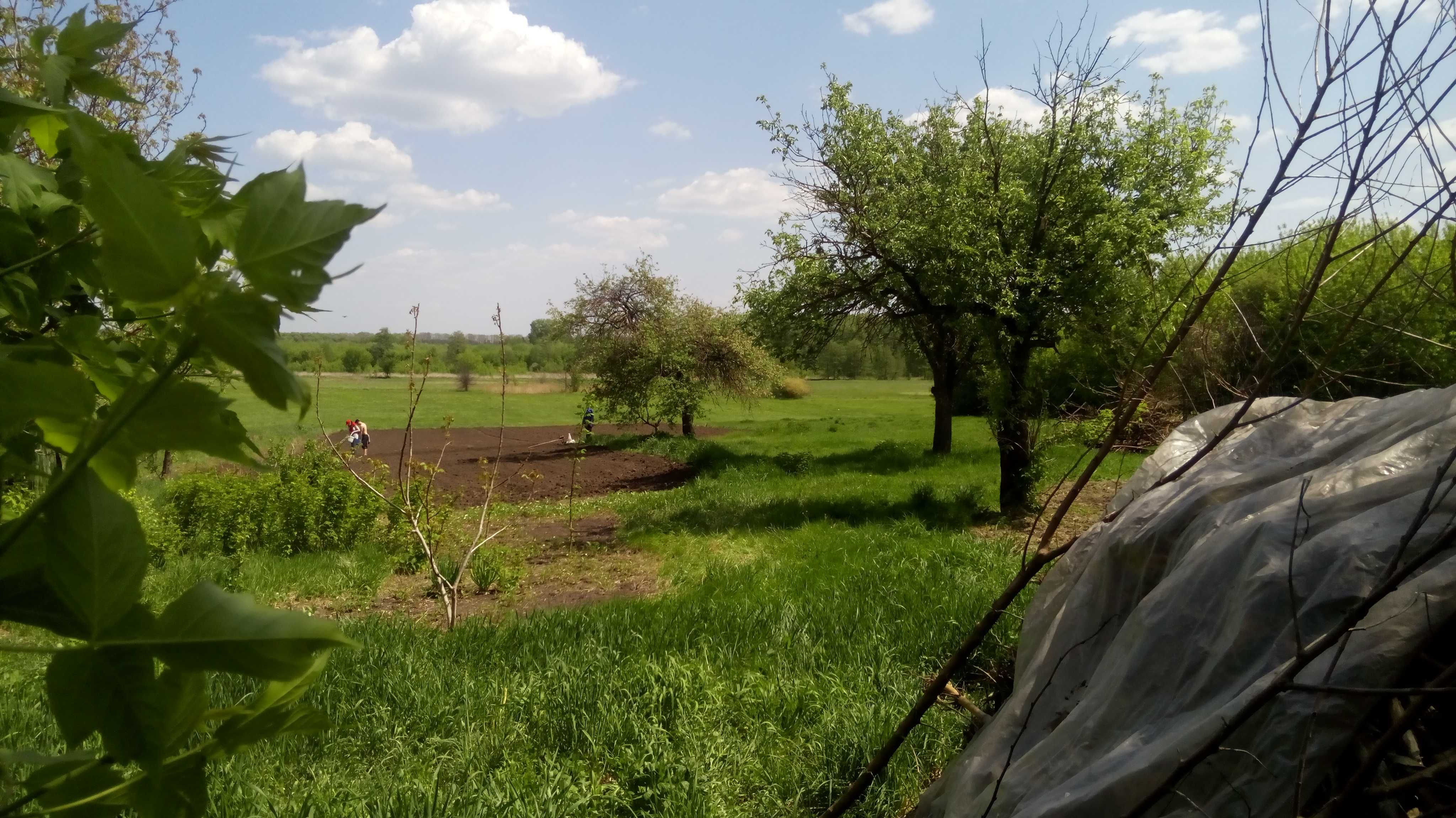 Ділянка з будинком в Полтавській області