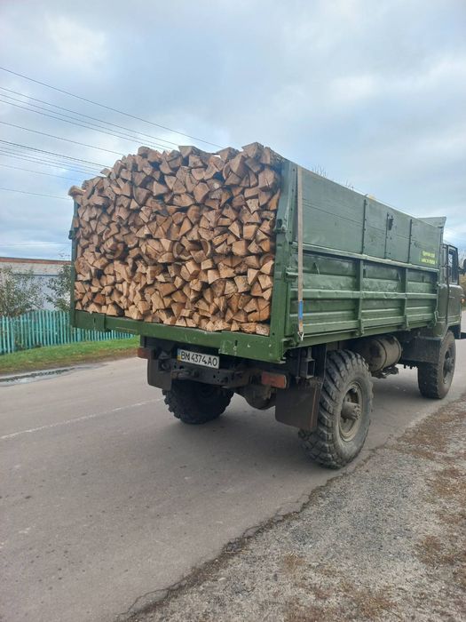 Дрова пород дуб и ясень