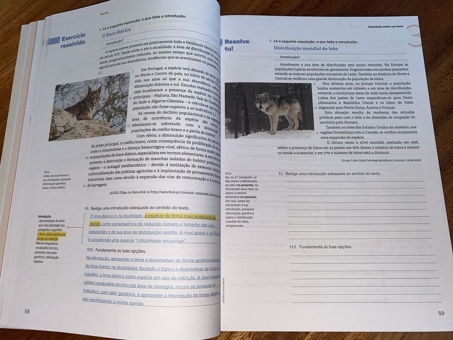 Manual “Guia de Estudo 10 Ano” de Português