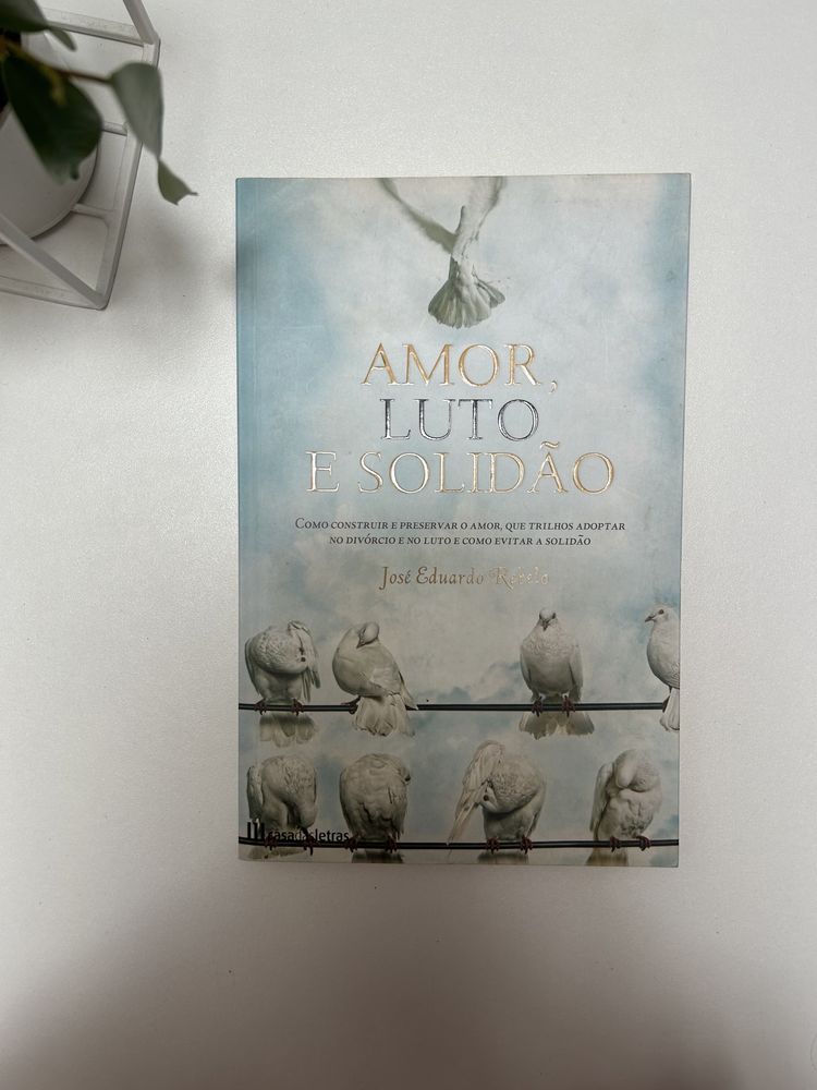 Livro: amor luto e solidão de José Eduardo Rebelo