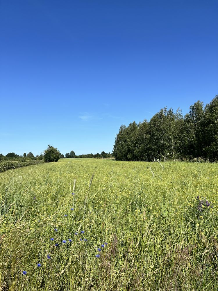 Działka rolno-budowlana 1,75ha z MPZP