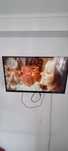 Monitor 29'’ Dell