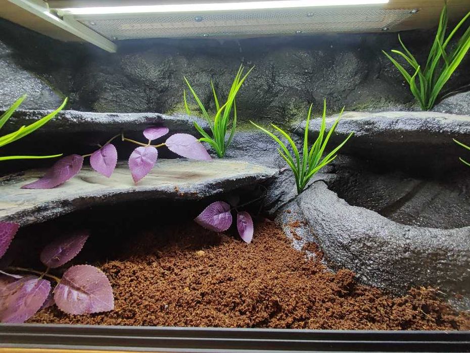Terrarium tropikalne nr703 80/40/40 dla węża boa pyton DOSTĘPNE