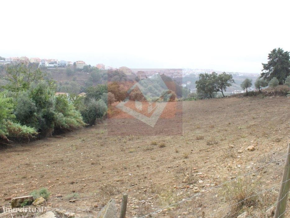 Terreno Rústico em Caneças