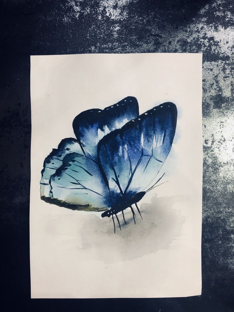 Рисунок Бабочка акварель