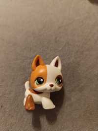 Littlest pet shop piesek