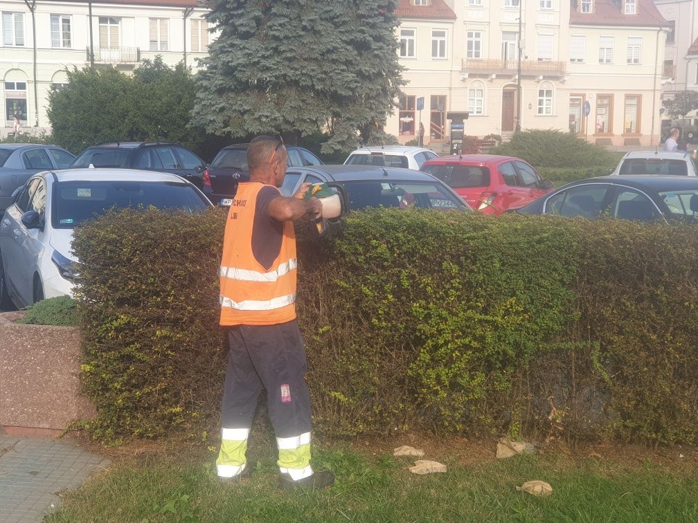 Koszenie trawy, sprzątanie zewnętrzne i wewnętrzne, wycinka drzew