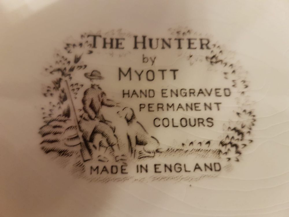 Serviço jantar /porcelana inglesa marca MYOTT - 17 peças
