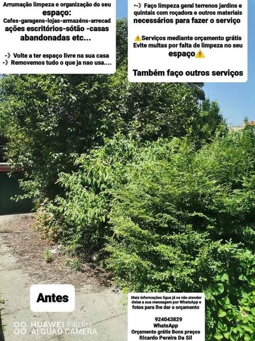 Faço Limpeza geral Podas Terrenos e Quintais Rocadora tb outros serviç